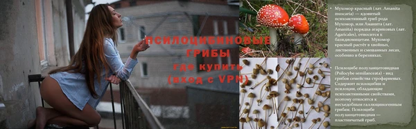 шишки Арсеньев