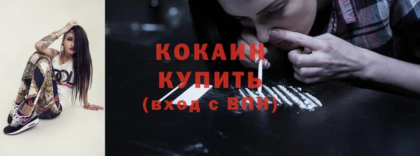 шишки Арсеньев
