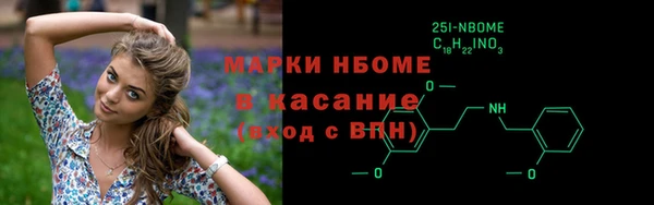 шишки Арсеньев