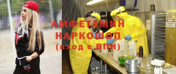 шишки Арсеньев