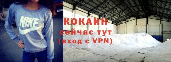 шишки Арсеньев