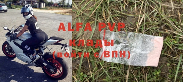 шишки Арсеньев