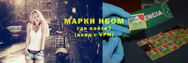 шишки Арсеньев