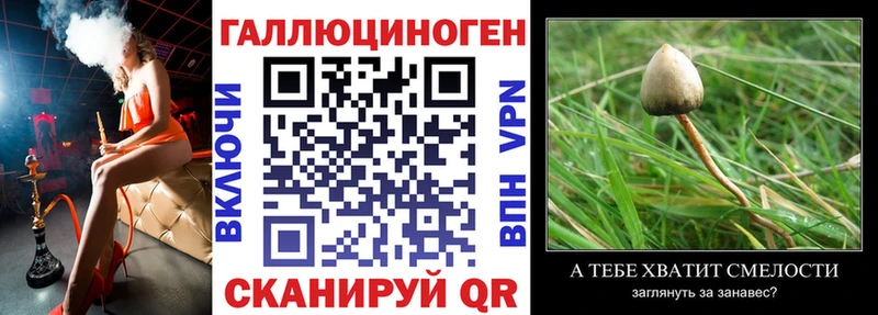Псилоцибиновые грибы ЛСД что такое Ртищево